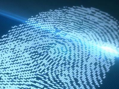 新技術可將指紋傳感器集成至屏幕 不怕手濕
